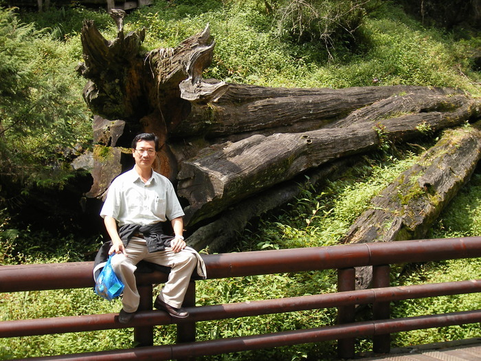 李忠潘教授2006-09-02阿里山圖片
