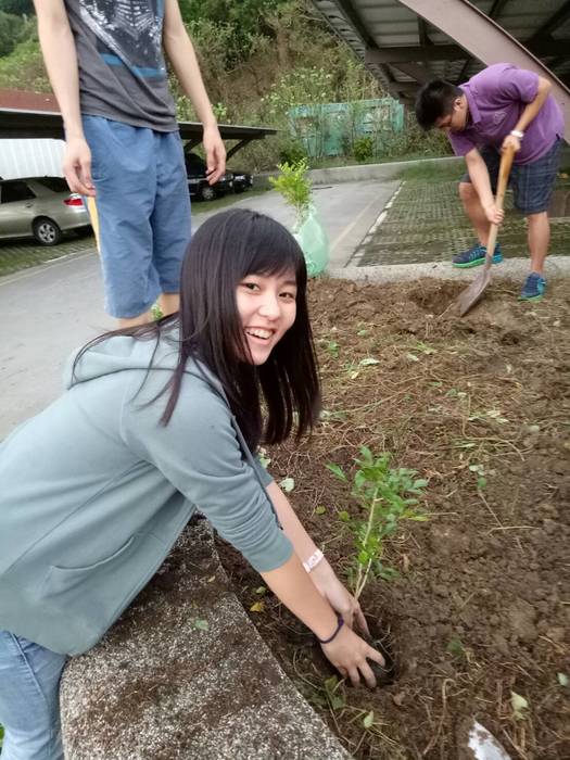大一導生快樂種樹！圖片